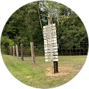 Melissa Avery profile picture